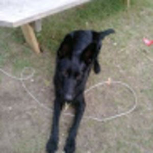 Meet your Posher, Christopher